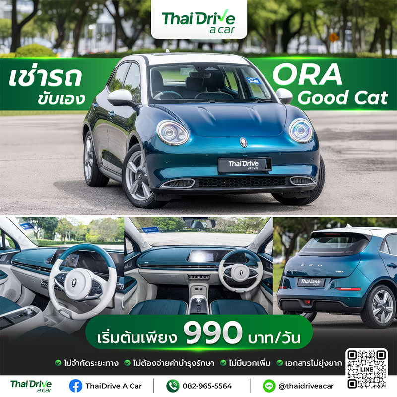 thaidriveacar ORA Good Cat
